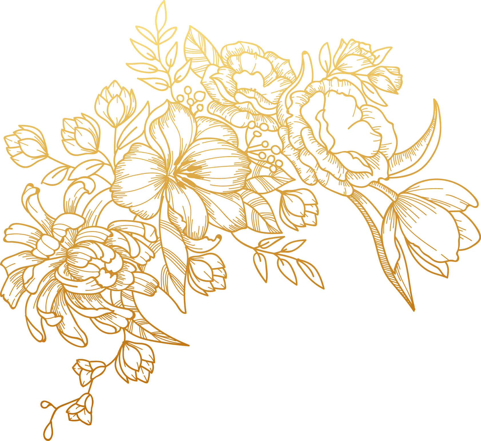 designs
